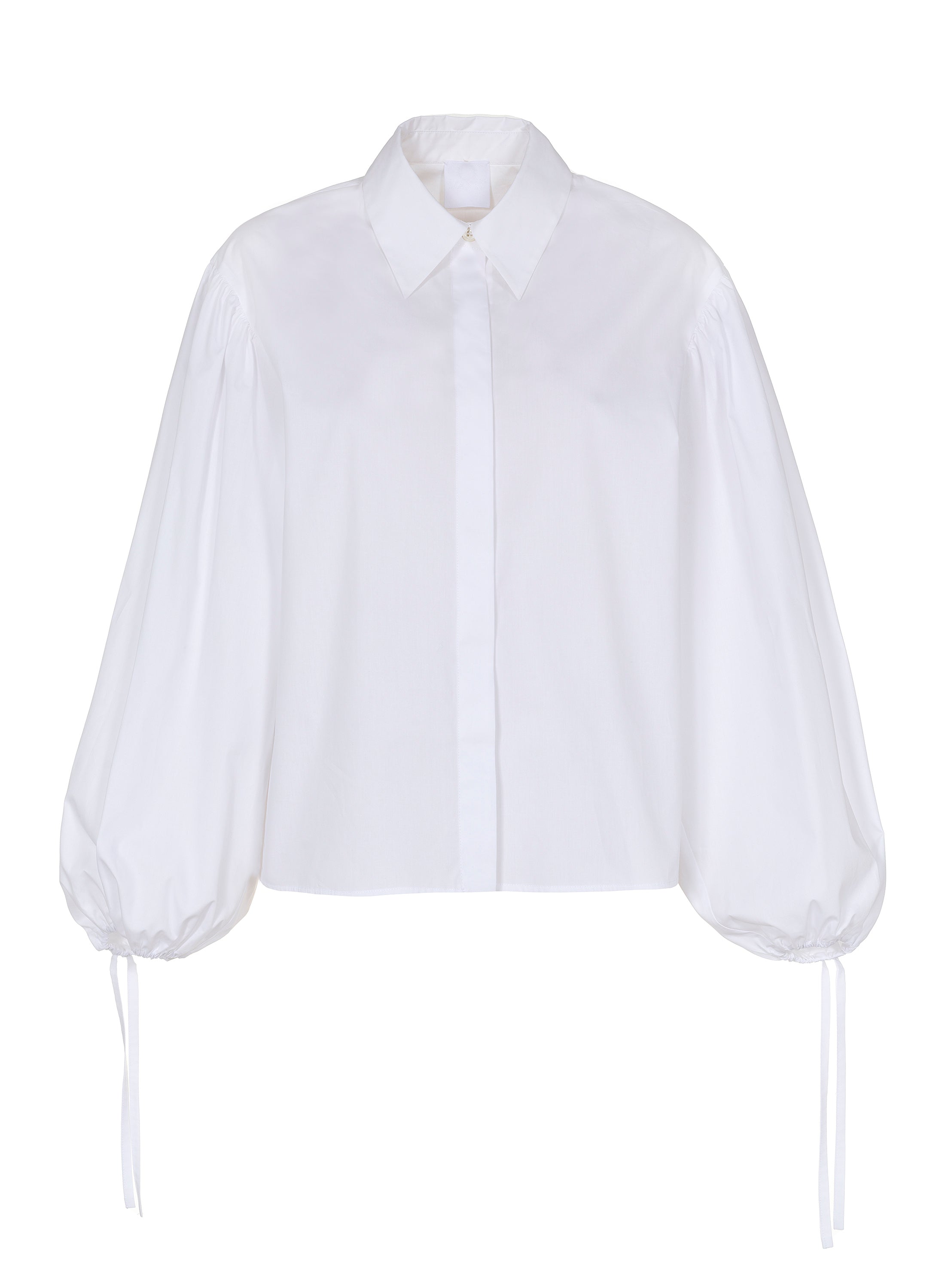 Puffy Sleeve Shirt